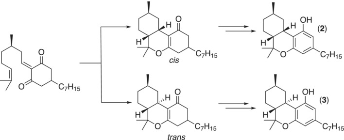 Plausible formation of compounds 2 and 3 ((9R)‐HHCP) from the condensed (R)‐citronellal adduct.
