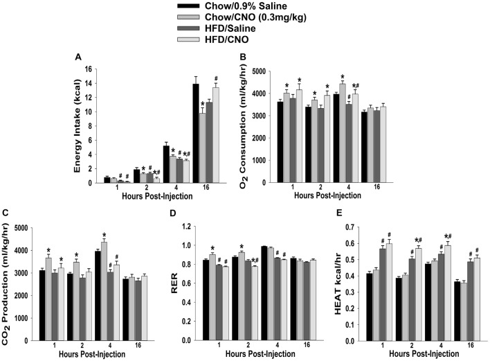 Chemostimulation of VMN SF-1 neurons in male NR5A1-cre mice reduces cumulative energy intake and increases energy expenditure in a diet-sensitive manner. CNO (0.3 mg/kg) significantly decreased cumulative energy intake (A), and increased O2 consumption (B), CO2 production (C) and RER (D) in chow-fed animals, all of which was significantly attenuated in HFD-fed animals. Conversely, CNO increased metabolic heat production in HFD-fed animals (E). Bars represent means and lines 1 SEM of the cumulative food intake, O2 consumption, CO2 production, RER and metabolic heat production seen in chow- and HFD-fed NR5A1-Cre mice treated with either CNO (0.3 mg/kg; chow: n = 8; HFD: n = 5), or its filtered 0.9% saline vehicle (chow: n = 7; HFD: n = 5). *P < 0.05 relative to vehicle-treated animals; multifactorial ANOVA/LSD. #P < 0.05 relative to chow-fed animals; multifactorial ANOVA/LSD.