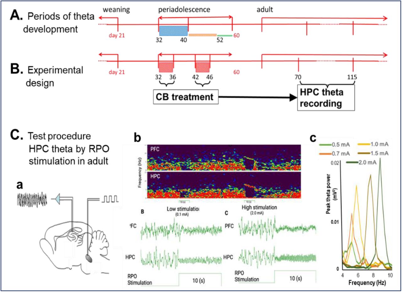 Experimental design (A), based on critical periods of adolescent development of HPC oscillatory networks (B) of testing the consequences of CB exposure in adolescence on HPC theta reactions after the rats reached adulthood (C). A-B. CB exposure (xx mg/kg daily injections for 5 days) was performed either in PND 32-36 (n=10) when HPC theta activity is highly variable or in PND 42-46 (n=9), i.e. in the age when theta oscillations were shown established on a stable level (color columns through PND 32-40-52-60 in A are proportional to standard deviation of theta power within age groups16. C. Theta power was measured in adult rats (between PND 70-115), under urethane anesthesia, where HPC theta can be in induced in a controlled manner, i.e. independent of behavior, by electrical stimulation of the brainstem arousal pathways in the RPO (a) eliciting HPC theta rhythm (b) with increasing frequency (c) and power, depending on the stimulus intensity, individually identified in each experiment 19.