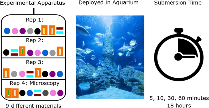Experimental design for testing passive eDNA collection with nine different membrane materials in a controlled mesocosm setting with varying soak times