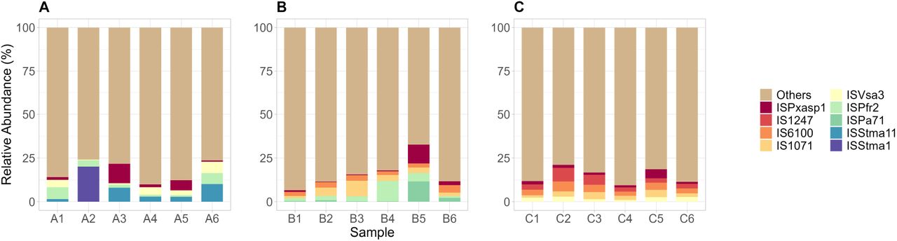 The relative abundance of the top IS from Hospital A (A), Hospital B (B), and Hospital C (C). IS not part of the top were grouped as “Others.”