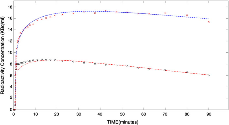 Average time activity curves for the pallidum (top) and pons (bottom): the average uptake in each region as a function of time in minutes, subsequently fitted with a two-compartment (2kbv) model.