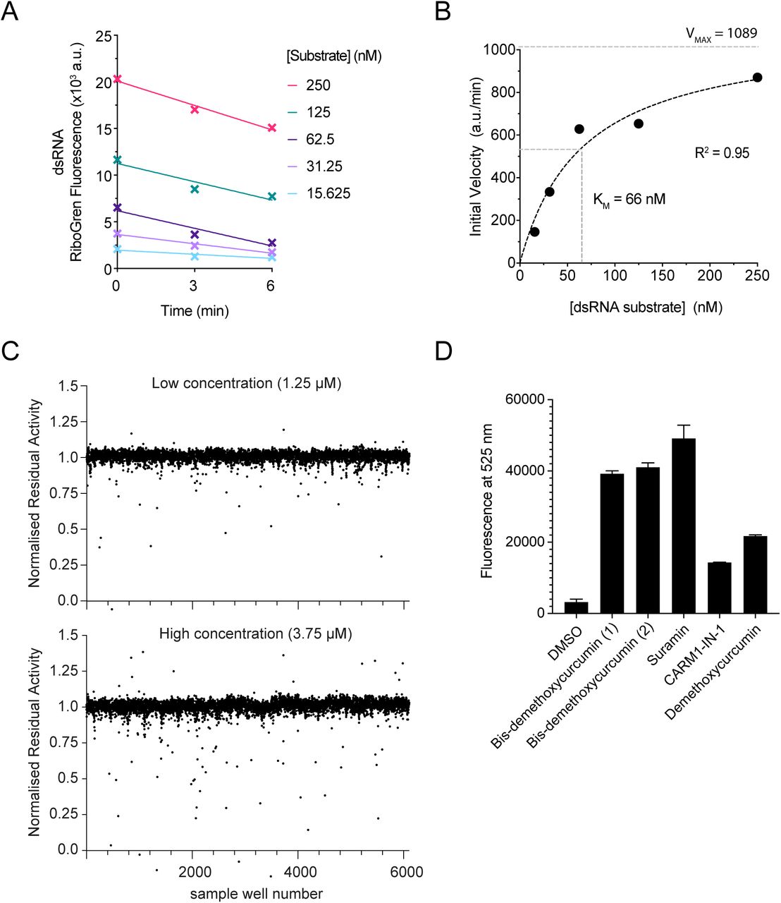 Ribogreen-based screen to identify SARS-CoV-2 nsp14/10 exoribonuclease inhibitors.A. Determination of initial rate of reaction when varying unlabelled dsRNA substrate concentration (15 – 250 nM). Reactions were carried out using 5 nM nsp10-14 fusion enzyme and stopped after 0, 3 and 6 minutes before dsRNA detection with RiboGreen. B. Non-linear Michaelis-Menten fit for enzyme kinetics data generated by substrate titration from A. C. Normalised residual activity for screen samples at low and high concentrations. D. Selected compounds were assayed for autofluorescence at 525 nm (RiboGreen wavelength). Error bars represent standard deviation from the mean.