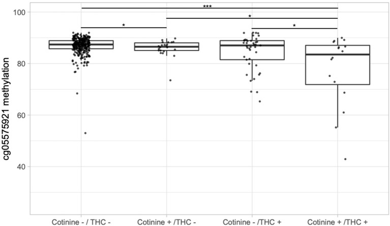 Boxplots of DNA methylation at cg05575921 vs. serum cotinine and/or THC positivity in the 12th grade. “Cotinine +” indicates > 3 ng/mL and “THC +” indicates > 0.5 ng/mL. Significance codes: *p ≤ 0.05; **p ≤ 0.01; ***p ≤ 0.001 (Tukey's Honest Significant Difference).