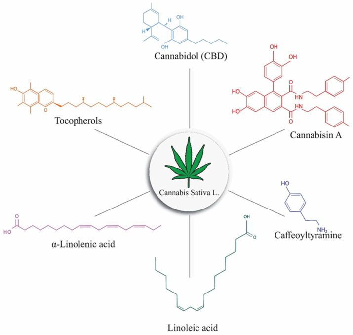 Structural components of Cannabis, including THC, CBD, cannabisin, caffeoyltyramine, alpha-linolenic acid, linoleic acid, and tocopherols.