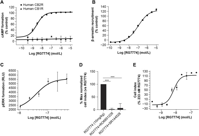 Dose-dependent effects of RG7774 on (A) forskolin-induced cyclic adenosine monophosphate (cAMP) levels in Chinese hamster ovary (CHO) cells expressing recombinant human cannabinoid 1 receptor (CB1R) or cannabinoid 2 receptor (CB2R) and (B) CB2R-dependent β-arrestin recruitment levels in CHO cells expressing recombinant human CB2R. (C) Dose-dependent effects of RG7774 on phosphorylated extracellular signal-regulated kinase (pERK) levels 2 min after incubating RG7774 with Jurkat cells expressing endogenous human CB2R. (D) Effects of RG7774 at 109 nM on the percentage maximal normalized cell index measured using the xCELLigence system (54) in Jurkat cells pretreated with 1uM of RO6851228 (inverse CB2R agonist) or SR144528 (CB2R selective antagonist), and (D) cell index dose-response curve for RG7774 relative to the maximal cell index of RG7774 at 233 nM, determined using the xCELLigence system (54). For (D,E), results are expressed as mean ± standard error of the mean (SEM) of 3 independent experiments with 4 technical replicates. ***p < 0.001 (1-way ANOVA, followed by Newman–Keuls post hoc analysis). RLU: relative light units.