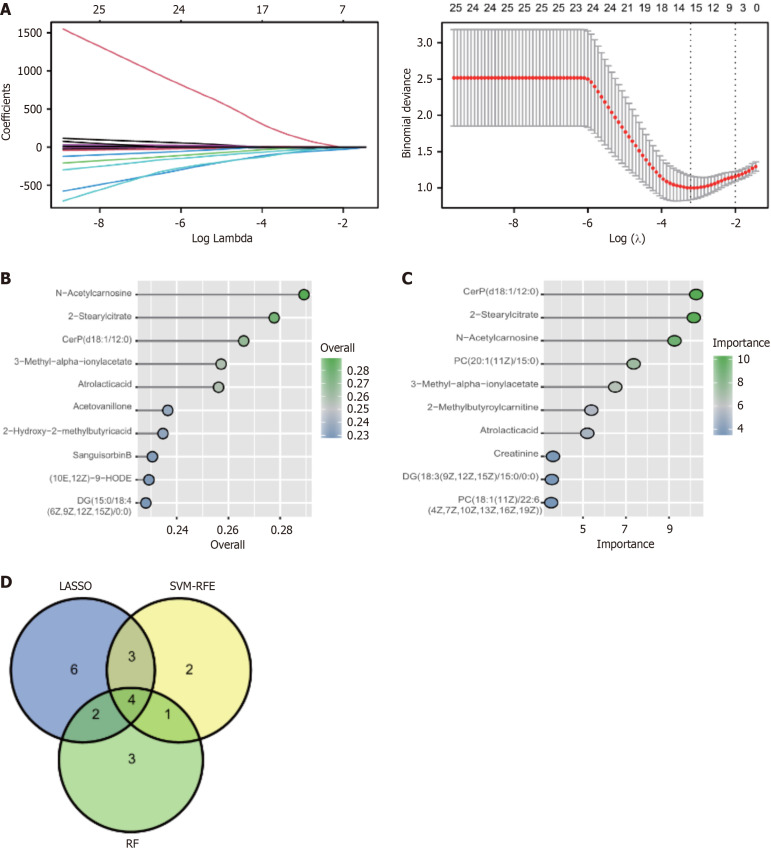 Screening of candidate diagnostic biomarkers in sarcopenic cirrhotic patients. A: Coefﬁcient proﬁle plot of the Least Absolute Shrinkage and Selection Operator model for cirrhotic patients with sarcopenia showed the ﬁnal parameter selection l (lambda); B: Top-10 biomarkers based on their discriminant ability in the Support Vector Machine-Recursive Feature Elimination algorithm; C: Top-10 biomarkers selected by using the random forest algorithm; D: The Venn diagram for four candidate metabolic biomarkers in sarcopenic cirrhotic patients by intersecting the results of three algorithms. LASSO: Least Absolute Shrinkage and Selection Operator; RF: Random Forest; SVM-RFE: Support Vector Machine-Recursive Feature Elimination.