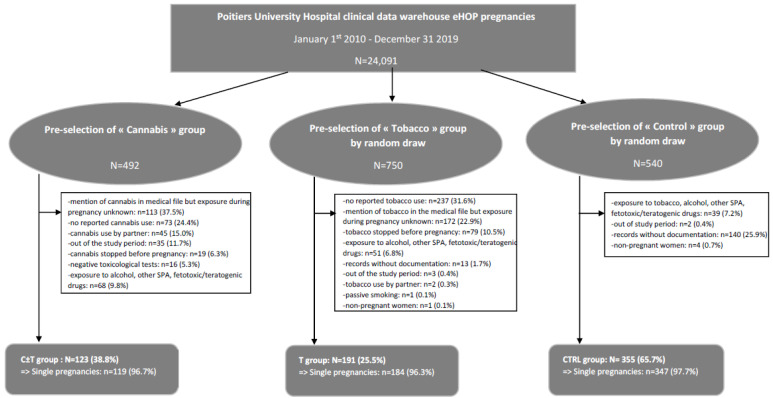 Flowchart of the study. Abbreviations: PW: pregnant women, C: cannabis, T: tobacco, CTRL: control, SPA: psychoactive substances.