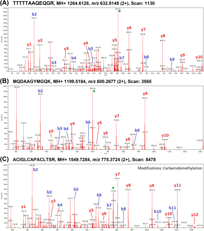 Mass spectra of species-specific peptide markers obtained from proteins extracted from cold-pressed oils. (A) Pumpkin oleosin 18.2 kDa-like (XP_022928435.1); (B) flax oleosin high molecular weight isoform (ABB01624.1); (C) Nigella nigellin-1.1 chain A (pdb|2NB2|A).