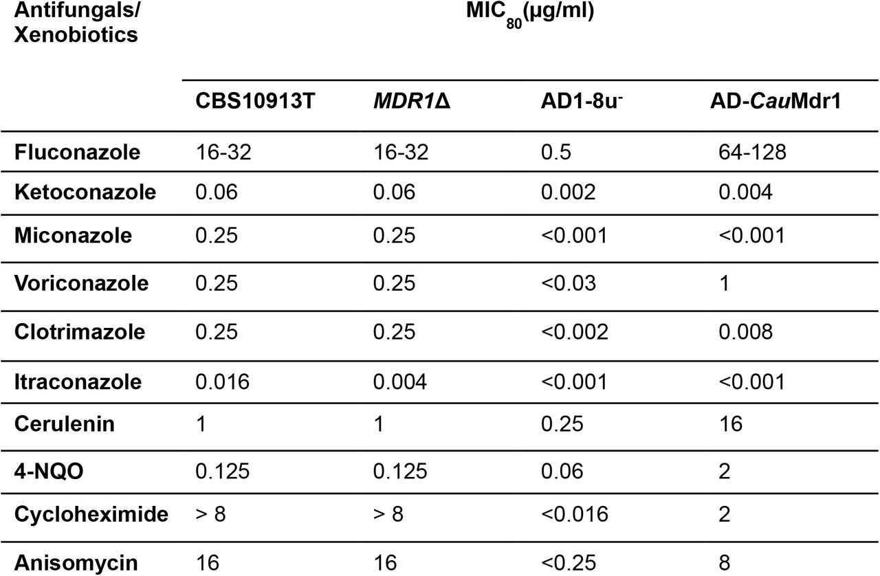 MIC80 values (μg/ml) determined for various antifungal drugs/xenobiotics in liquid culture as described in the methods section. The concentration (μg/ml) at which growth was inhibited by 80% remained the same for all the tested xenobiotics in three independent experiments.