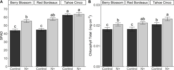 SPAD leaf values (A) and total leaf chlorophyll (B) for N+ (n) and control (c) treatments of cultivars Berry Blossom (BB), Red Bordeaux (RB), and Tahoe Cinco (TC) grown under field conditions. Values are mean ± standard error (A: n = 120; B: n = 24). Means followed by different letters are statistically different at P<0.05. (A) N treatment P<0.001, Cultivar P<0.001, N treatment x Cultivar P = 0.008. (B) N treatment P<0.001, Cultivar P<0.001.