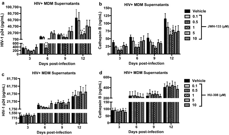 CB2R agonists treatment decrease HIV-1 replication and CATB secretion from MDM. MDM were infected with HIV-1 and treated with CB2R agonists, JWH-133 and HU-308. HIV-1 p24 and CATB levels were measured from supernatants of days 3, 6, 9, and 12pi by ELISA. (a) Temporal HIV-1 p24 levels in supernatants of HIV-infected MDM treated with JWH-133. (b) Temporal CATB secretion levels in supernatants of HIV-infected MDM treated with JWH-133. Figures a and b are representative of at least four different donors (n = at least 4). (c) Temporal HIV-1 p24 levels in supernatants of HIV-infected MDM treated with HU-308. (d) Temporal CATB secretion levels in supernatants of HIV-infected MDM treated with HU-308. Figures c and d are representative of at least six different donors (n = at least 6). Graphs are presented using the mean and the ± standard error of the mean (SEM). *p < 0.05, **p < 0.01 vs. vehicle control at its respective time-point.