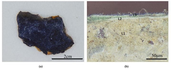 Digital microscopy (DM) of sample SJD-24 from the sculpture of Sakyamuni Buddha in the Xiasinan Hall: (a) surface; (b) cross-section (L1, clay ground layer; L2, white powder layer; L3, pigment layer).