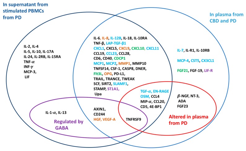 Inflammatory markers in plasma or released from stimulated PBMCs in vitro. Dark blue circle: Inflammatory markers detected in the supernatant from stimulated PBMCs from patients (PD). Light blue circle: Inflammatory markers detected in plasma samples from CBD and PD. Violet circle: Inflammatory markers regulated by GABA in PBMCs from PD. Red circle: Inflammatory markers altered in the plasma of PD compared to CBD. Blue: Inflammatory markers that correlated with age, but only in PD; green: Inflammatory markers that correlated with age, but only in CBD; brown: Inflammatory markers that correlated with age in both PD and CBD; violet: Inflammatory markers that correlated with the GABA concentration in plasma from CBD.
