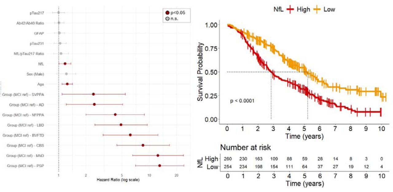 Prognostic value of biomarkers against mortality. Left panel: Hazard ratio values of the survival model with all plasma markers of interest, age, sex and diagnosis as predictors. Right panel: Kaplan–Meier survival curve of NfL: patients were separated into two groups based on the median split of NfL plasma levels at baseline.