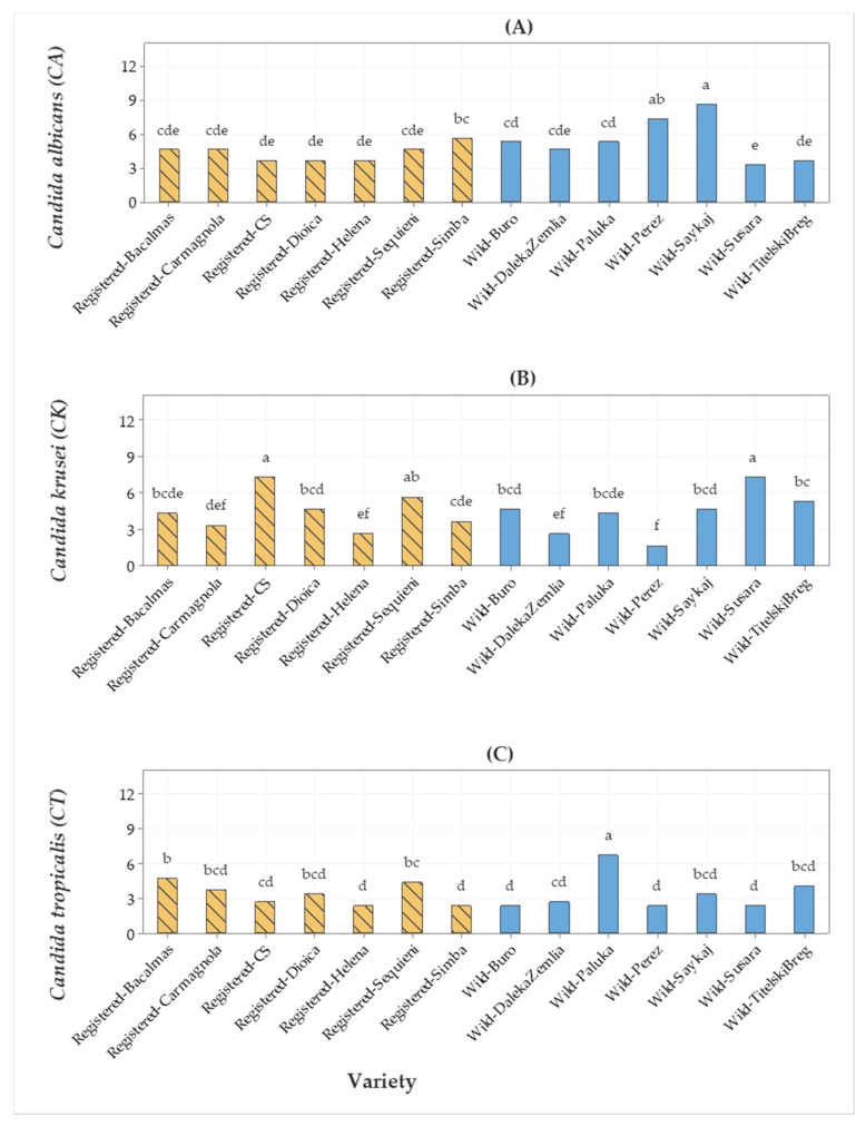 Bar graph of (A) Candida albicans (CA), (B) Candida krusei (CK), and (C) Candida tropicalis (CT) (fluconazole) antimicrobial activities (inhibition zone in mm) from seven registered cultivars and seven wild hemp accessions. The means represented by the bars sharing the same letter are not significantly different.
