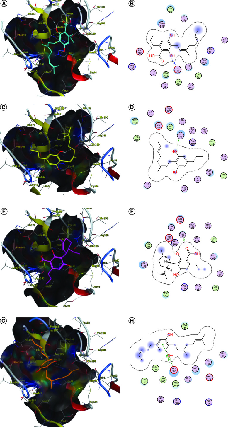 Docking simulation of the studied phytoligands into the active site of SARS-CoV-2-main protease (Protein Data Bank ID: 5R84). (A & B) 3D and 2D binding modes of 4 (cyan sticks). (C & D) 3D and 2D binding modes of 5 (yellow sticks). (E & F) 3D and 2D binding modes of 7 (magenta sticks). (G & H) 3D and 2D binding modes of 8 (orange sticks). (I & J) 3D and 2D binding modes of 12 (light pink sticks). (K & L) 3D and 2D binding modes of 14 (green sticks). (M & N) 3D and 2D binding modes of 15 (violet sticks). (O & P) 3D and 2D binding modes of 17 (white sticks). (Q & R) 3D and 2D binding modes of 18 (red sticks). (S & T) 3D and 2D binding modes of 19 (deep yellow sticks). (U & V) 3D and 2D binding modes of 20 (pink sticks). (W & X) 3D and 2D binding modes of 21 (blue sticks). (Y & Z) 3D and 2D binding modes of 23 (deep cyan sticks). (AA & AB) 3D and 2D binding modes of 24 (grey sticks). (AC & AD) 3D and 2D binding modes of 25 (orange sticks). (AE & AF) 3D and 2D binding modes of 26 (dark blue sticks). (AG & AH) 3D and 2D binding modes of 27 (dark green sticks). (AI & AJ) 3D and 2D binding modes of 28 (brown sticks). (AK & AL) 3D and 2D binding modes of 29 (dark red sticks). (AM & AN) Overlay of the docked (light cyan sticks) and the co-crystallized inhibitor 2-cyclohexyl-N-(3-pyridyl)acetamide 30 (green sticks) in 3D and 2D binding modes, in the active site of SARS-CoV-2-main protease (Protein Data Bank ID: 5R84). The names of the phytoligands (1–30) are given in the Materials & methods section.