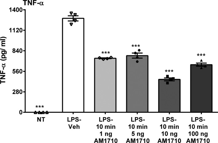 AM1710 reduces lipopolysaccharide effects in RAW264.7 cells. AM1710 reduces lipopolysaccharide effects in RAW264.7 cells. (a) LPS stimulation of RAW264.7 cells produced robust increases in TNF‐α protein. Treatment with AM1710 after LPS stimulation diminished TNF‐α protein levels