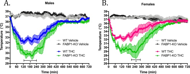 Time-course of THC-induced hypothermia. (A) Male and (B) female wild-type or FABP1-KO mice were treated with vehicle or 10 mg/kg THC. Bar indicates range where statistical significance was reached comparing the THC-treated groups. *p < 0.05 by two-way ANOVA with Bonferroni’s post-hoc test. n = 5–9 animals per group.