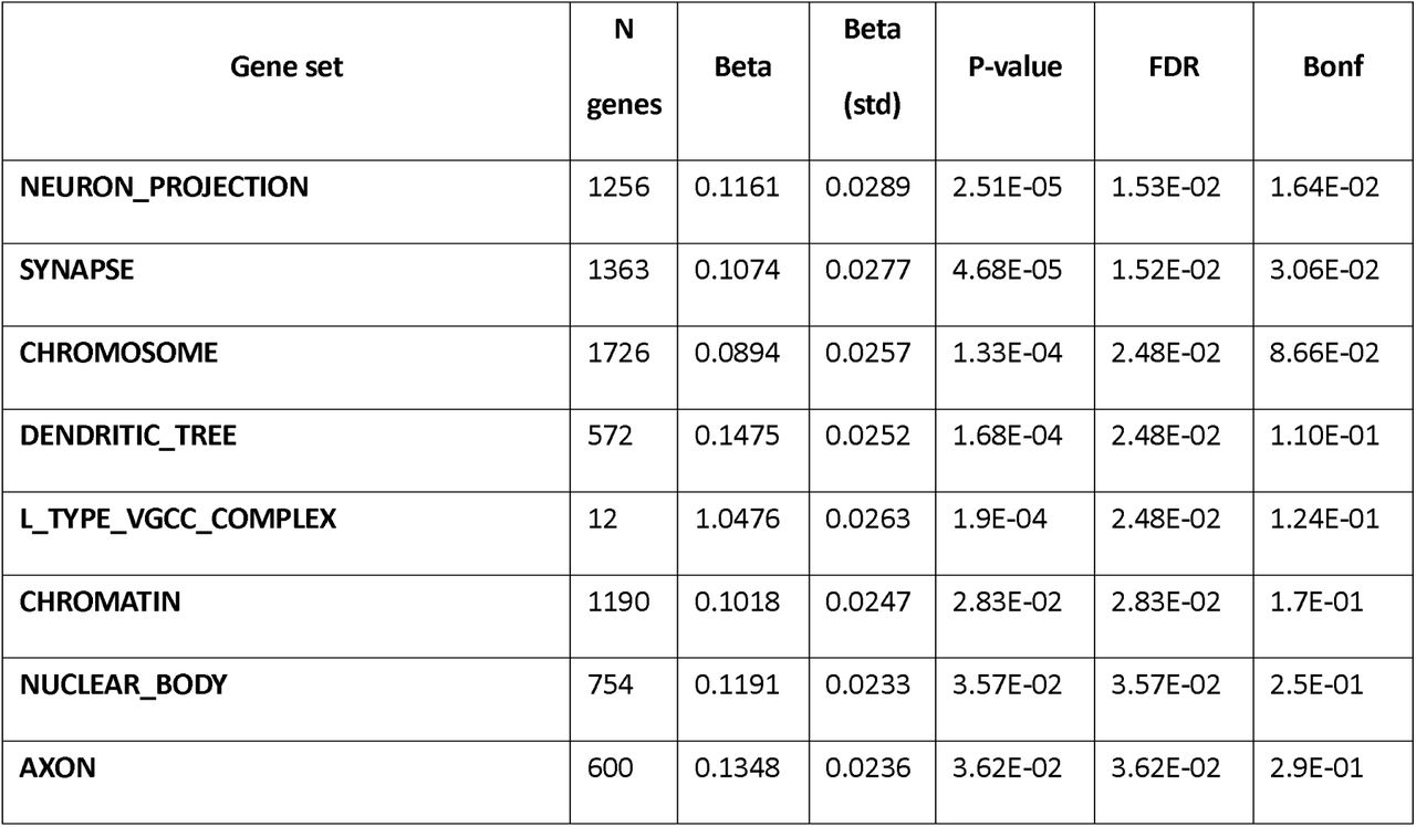 MAGMA gene set enrichment results for GO Cellular Component. Results shown for all gene sets surviving FDR < 0.05 within-collection correction. Bold rows indicate sets additionally surviving Bonferroni correction. N genes = number of genes in the gene set; Beta = MAGMA regression coefficient; Beta (std) = standardised beta; FDR = Benjamini-Hochberg false discovery rate; Bonf = Bonferroni-corrected p-value, both applied within each gene set collection separately. Gene sets with fewer than 10 genes were excluded prior to correction. VGCC=Voltage Gated Calcium Channels