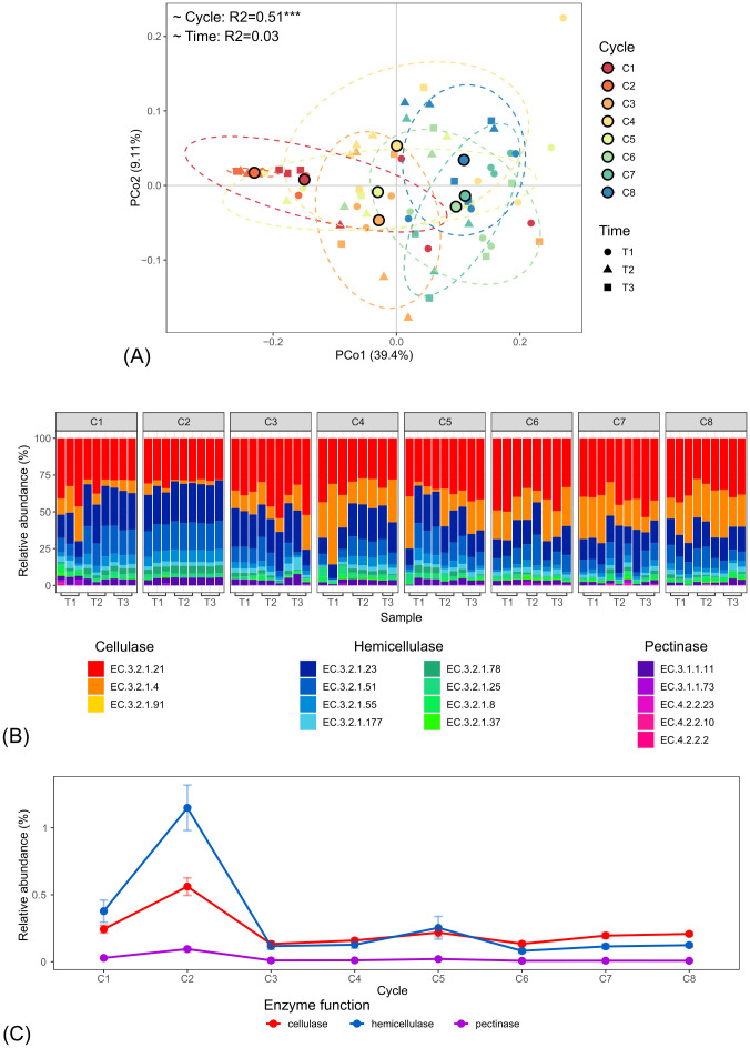 Panel A shows a PCoA plot of microbial communities colored by cycle and shaped by time, with ellipses indicating group clustering and R-squared values for cycle and time effects. Panel B presents stacked bar graphs of enzyme gene relative abundances by cycle and time, with colors representing cellulase, hemicellulase, and pectinase genes as detailed in the accompanying legend. Panel C displays a line graph of relative enzyme function abundance by cycle, showing trends for cellulase, hemicellulase, and pectinase with error bars.
