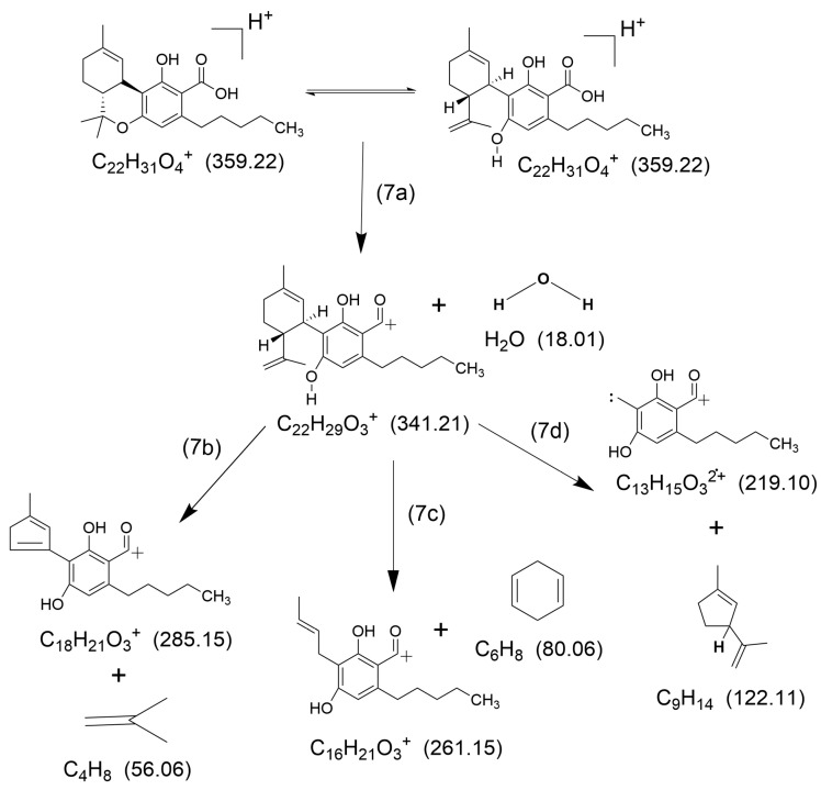 Suggested structures of the major ionic fragments and their neutral counter-fragments (7a)–(7d) observed in HCD fragmentation of [CBDA + H]+ and [THCA + H]+. The fragmentation pathways are illustrated for the [CBDA + H]+ molecular ion. Exact masses are given in parentheses.