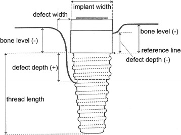 Measurement specifications: outline [6]