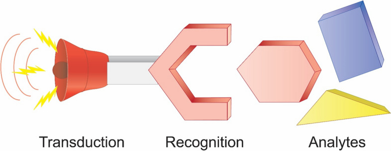 Scheme representing a biosensor working principle. The target analyte should specifically interact with the recognition element which event is signaled by the transduction element