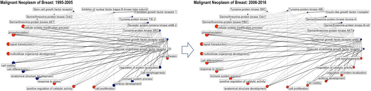 Network graphs showing the connectivity of single proteins and GO biological process annotations annotated to the disease “malignant neoplasm of breast” for the time periods 1995-2005 and 2006-2016. Circles correspond to GO biological process annotations; squares correspond to single protein targets; only the top 10 single protein targets and top 15 GO terms are shown (with respect to percentage of total bioactivities); the size of the circle/square as well as the thickness of the connecting lines is correlated to the percentage of bioactivities associated with this GO annotation/protein; the color code is reflecting the number of available drug-efficacy target annotations (light blue: 0; blue: 1-5; navy: 6-10; red >10).