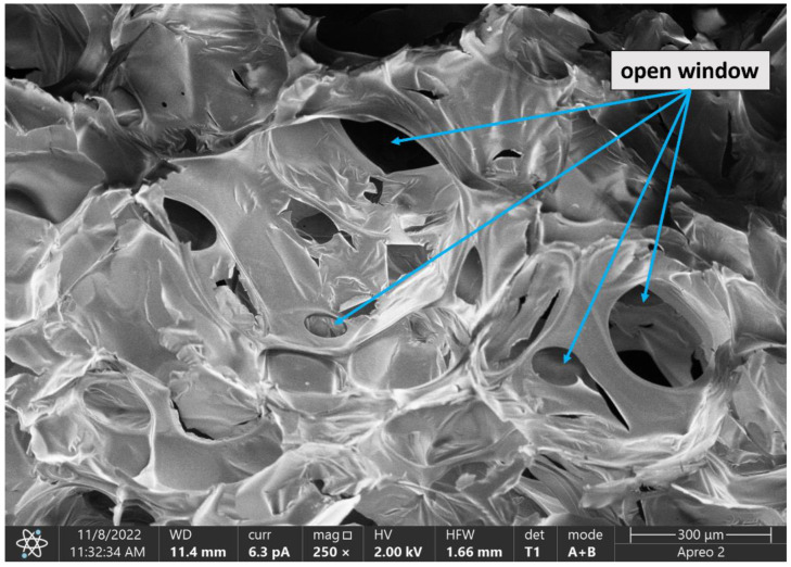 SEM image of the F_OR foam at a magnification of 250× with the open cells marked.
