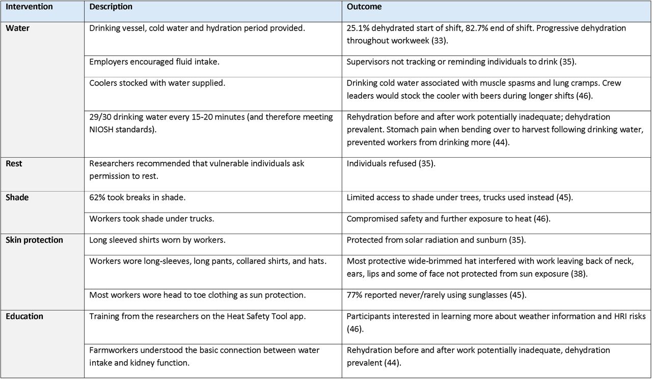 Summary of protective interventions, strategies, and their documented impact
