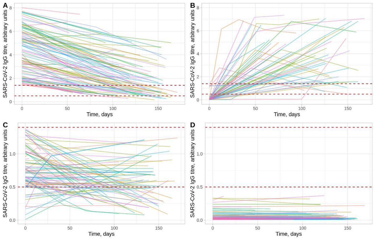 SARS-CoV-2 antibody trajectories in 3217 HCWs.Panels A and B show trajectories for HCWs with a positive result (≥1.40 arbitrary units) at some time. Panel A shows those whose first measurement was positive (n=466, only data from 100 randomly sampled individuals is shown to assist visualisation) and Panel B the remainder (n=56) in whom seroconversion was observed. Panel C shows those with a maximum titre that was equivocal (0.50-1.39, n=90). Panel D shows results from HCWs with a maximum titre that was negative (<0.50, n=2605, only data from 100 randomly sampled individuals is shown to assist visualisation). The dashed lines indicate the thresholds for a positive and equivocal result, note the different y-axis scales in panels A and B versus panels C and D.
