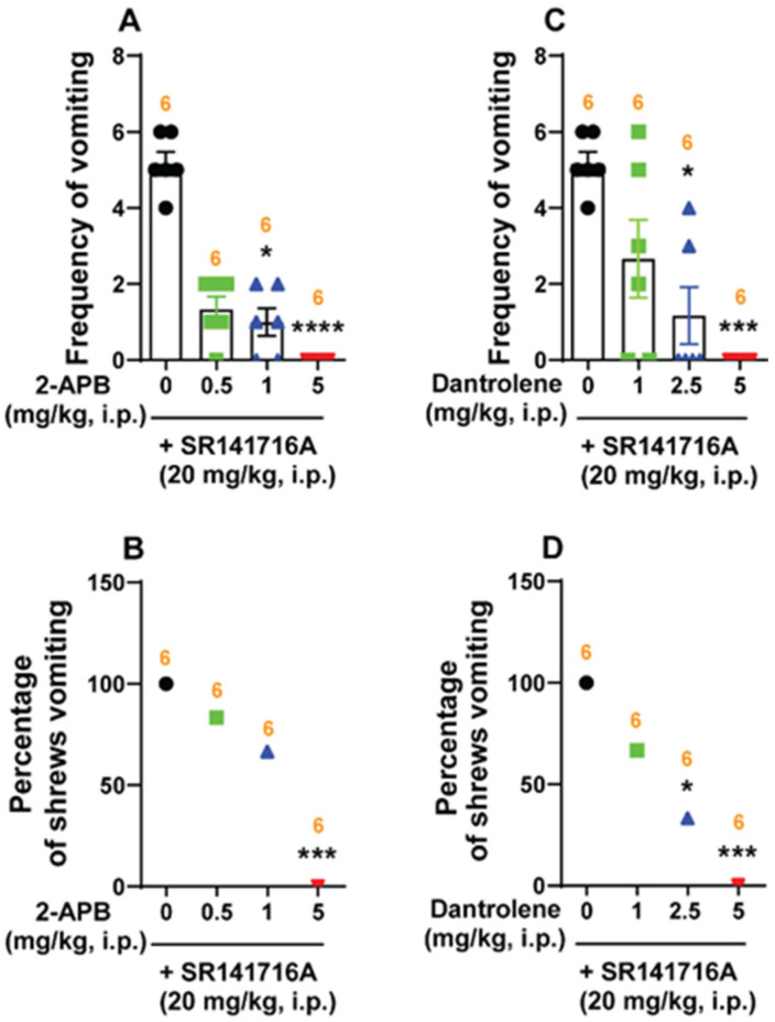 Antiemetic effects of intracellular Ca2+ channel blockers on CB1 receptor inverse agonist/antagonist SR141716A (20 mg/kg, i.p.)-mediated vomiting. Different groups of least shrews were given an injection of either the corresponding vehicle or varying doses of one of the following: (1) the inositol trisphosphate receptor (IP3R) antagonist 2-APB (i.p.); (2) ryanodine receptor (RyRs) antagonist dantrolene (i.p.), 30 min prior to SR141716A (20 mg/kg, i.p.) injection. Emetic parameters were recorded for the next 30 min. The frequency of emesis (A,C) was analyzed using Kruskal–Wallis non-parametric one-way ANOVA followed by Dunn’s post hoc test and presented as mean ± SEM. The percentage of shrews vomiting (B,D) was analyzed using the chi-square test and presented as mean. * p < 0.05, *** p < 0.001, **** p < 0.0001 vs. 0 mg/kg. The number of animals in each group is presented at the top of the corresponding column.