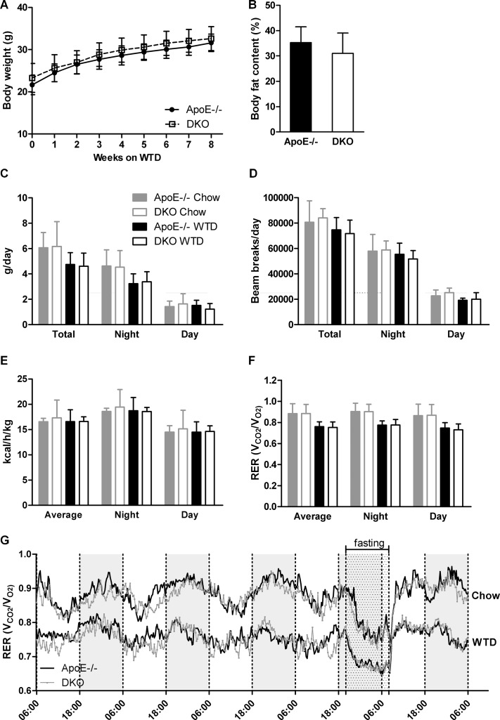 Lack of centrally mediated cannabimimetic effects in DKO mice(A) Body weights of ApoE−/− and DKO mice during 8 weeks of WTD (n = 24–34). (B) Quantification of relative body adiposity of ApoE−/− and DKO mice after 8 weeks on WTD by MRI (n = 5−6). Daily (C) food consumption, (D) locomotor activity, (E) energy expenditure, and (F, G) RER of ApoE−/− and DKO mice fed chow and WTD (n = 5). Data represent means ± SD.