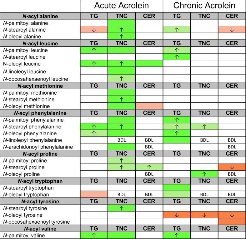 Comparison of effects of acute or chronic acrolein exposure on levels of orphan lipids. Some of the lipids in the screening library have no known protein target, and are denoted “orphan lipids.” This figure shows changes in levels of orphan lipids in the trigeminal ganglia, trigeminal nucleus caudalis, and cerebellum of animals treated with acute acrolein compared to acute control and in animals treated with chronic acrolein compared to chronic control (seeFig 2legend for details on shading and arrows).