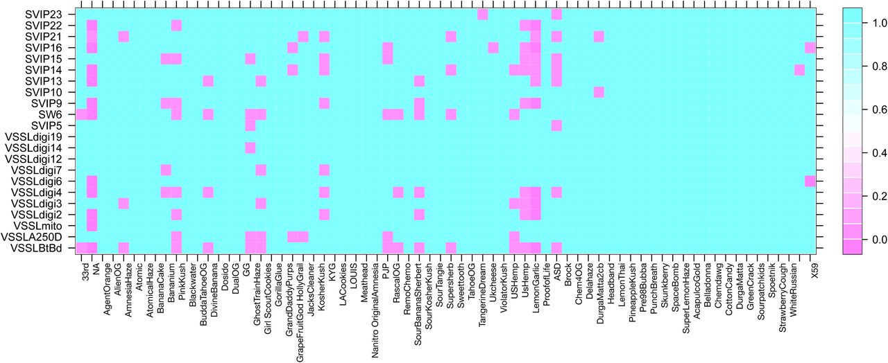 Locus specific deviation from HWE for each samples seed stock. Heat map indicated P-value of test with pink boxes indication significant deviation from HWE.