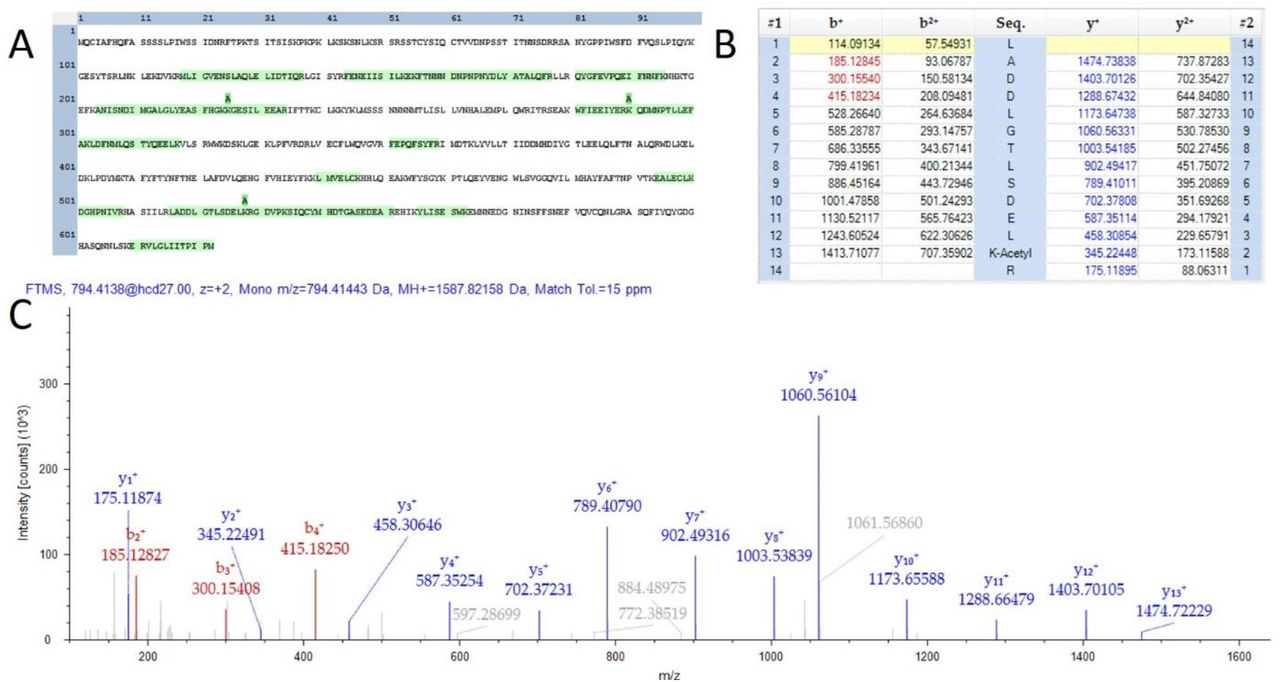 Evidence of acetylation on TPS1. A) A sequence map demonstrating 3 observed lysine acetylation modifications. B) A fragment map showing 100% sequence coverage for one acetylation site. C) MS/MS spectra matching the fragment map