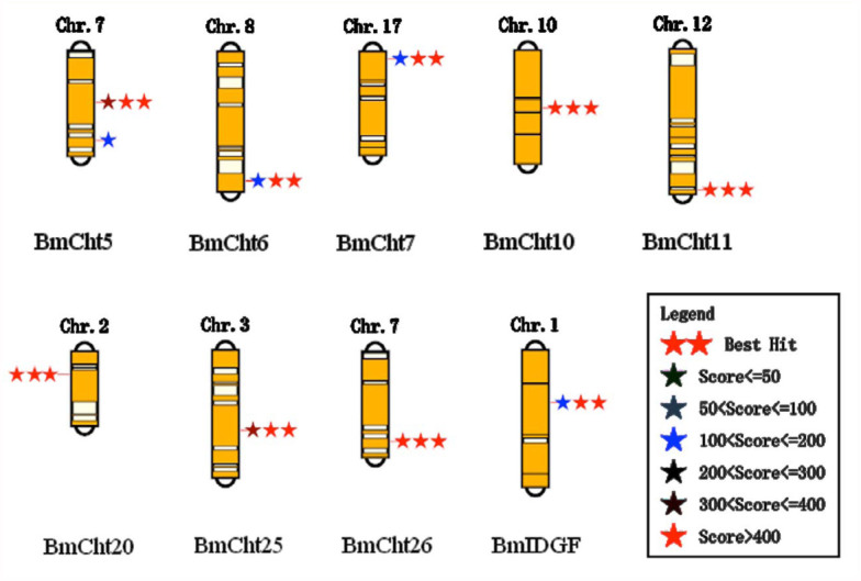 Chromosomal locations of Bombyx mori chitinase genes. High quality figures are available online.