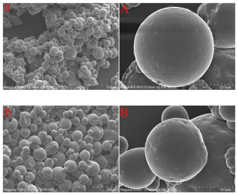 Microstructure of microcapsule of cannabis oil ((a,A):SPI-SE; (b,B): WPI-SE).