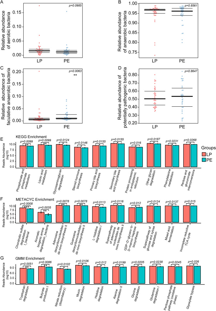 Bugbase Analysis was used to investigate the phenotypic characteristics of intestinal bacteria between the LP group and the PE group, including aerobic bacteria, anaerobic bacteria, facultative anaerobic bacteria, and potentially pathogenic bacteria. No significant differences in the relative abundance of aerobic bacteria (p=0.0985) (A), anaerobic bacteria (p=0.8561) (B), and potentially pathogenic bacteria (p=0.8647) (D) except for facultative anaerobic bacteria (p=0.0063) (C) were observed between these two groups. Picrust2 functional predictive analysis was employed to predict differences in KEGG, METACYC, and GMM modules between the LP and PE groups. The top 10 differential signaling pathways in KEGG (E), METACYC (F), and GMM (G) between these two groups. *p<0.05, **p<0.01, ***p<0.001.