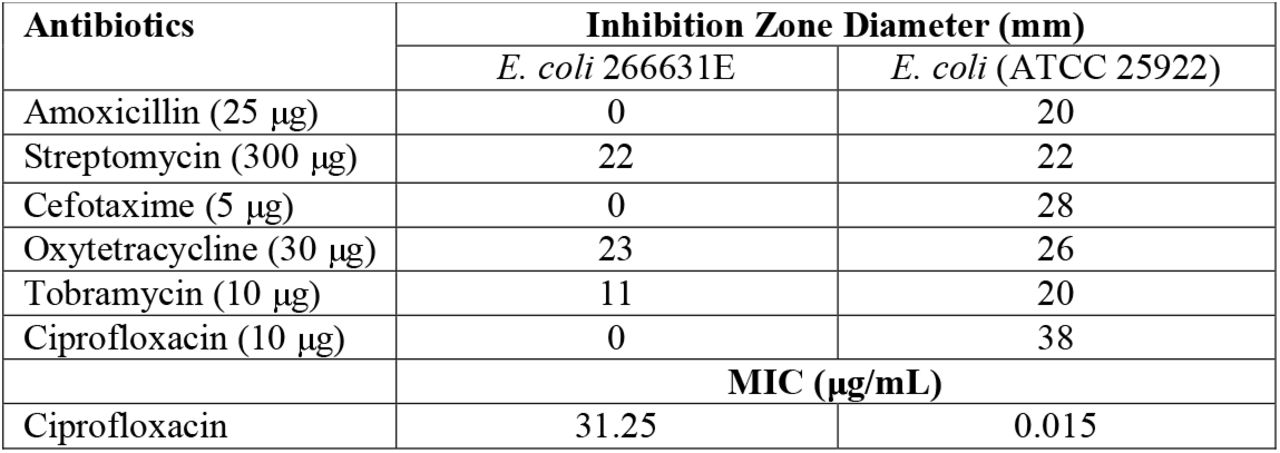 Phenotypic Resistance Profile of the Bacterial Isolate