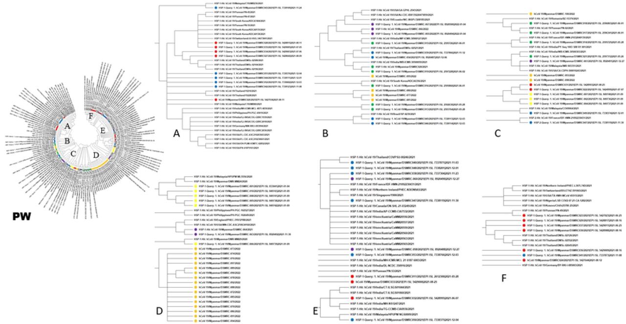 Phylogenetic tree comparing the Eighty-three Myanmar SARS-CoV-2 with 79/162 previously published sequences. Each cluster was detailed (A to F). The sequences from each run were labeled separately. (Yellow = First Run, Green = Second Run, Red = Third Run, Blue = Fourth Run, Purple = Fifth Run and Orange = Sixth Run)