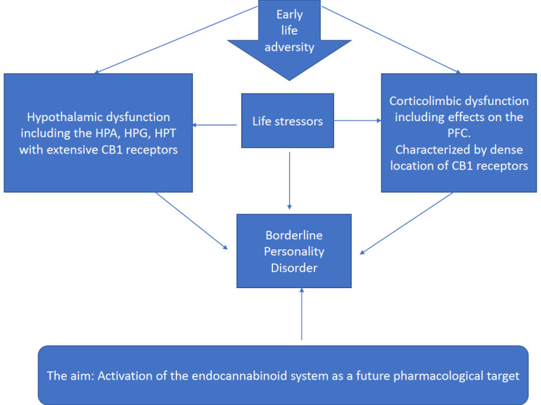Adverse effects of early stress exposure are a risk factor for the development of Borderline Personality Disorder. This depends on alterations in the hypothalamus and the corticolimbic system. The Endocannabinoid system may function as a modulator through receptor crosstalk in these brain regions.