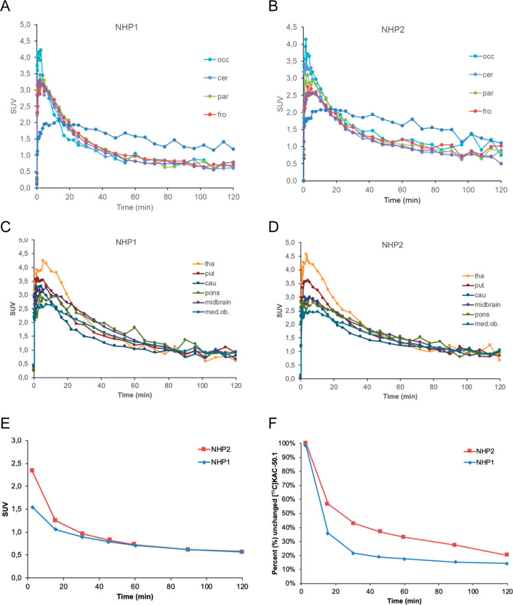 Brain time activity curves of [11C]KAC-50.1 in cortical regions and white matter (A,B) and in subcortical regions (C,D) in the two cynomolgus monkeys. Blood radioactivity (E) and unchanged fraction of [11C]KAC-50.1 in the plasma (F).