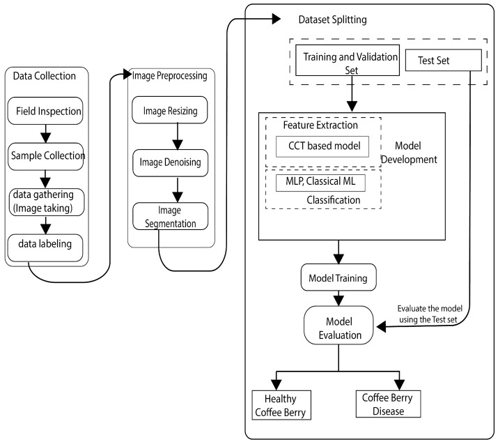 Proposed model architecture.