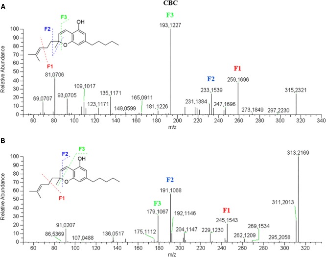 HRMS fragmentation spectrum of cannabichromene (CBC) in positive (A) and negative (B) ionization mode.