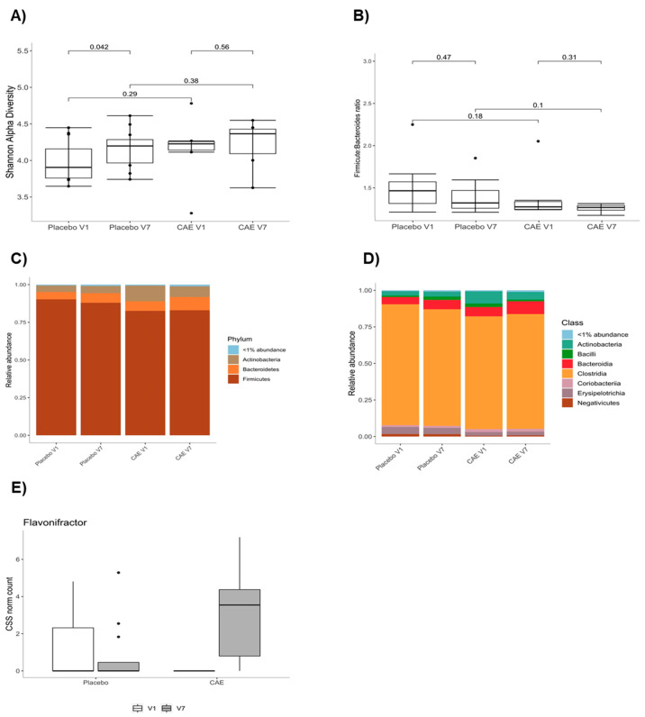 Effect of caloric restriction without or with CAE on the fecal microbiota composition. Alpha diversity of the fecal microbiota (A), Firmicutes:Bacteriodetes ratio (B) and the relative abundances of fecal microbiota phyla (C), classes (D) and the Flavonifractor genera (E). The data were obtained from stool samples of a subset of 25 (19 placebo and 6 CAE) reproductive-aged women with overweight or obesity before (visit 1 (V1)) and after (visit 7 (V7)) the interventions.