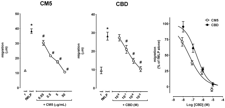 Effect of CM5 and CBD on fMLP-induced PMN migration shown as absolute values (left and centre panels) and as the percent of inhibition of migration of fMLP–stimulated PMN (right panel). Values are mean ± standard error of the mean (SEM) of 5–11 separate observations. * p < 0.0001 vs. resting and # p < 0.001 vs. fMLP alone.