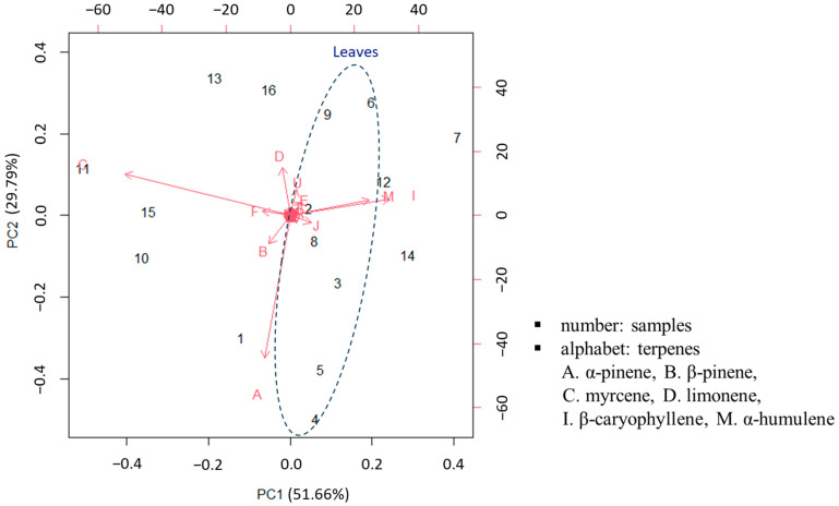 Principal component analysis (PCA) of hybrid Cannabis using relative abundances of peak areas for 26 terpenes. (Marks were identified as follows: 1. Cherry Blossom leaf, 2. V1 leaf, 3. V4 leaf, 4. White Widow leaf, 5. Chung Sam leaf, 6. Blue Dream leaf, 7. Bubble Gum leaf, 8. Purple leaf, 9. Victory leaf, 10. Cherry Blossom inflorescence, 11. V1 inflorescence, 12. V4 inflorescence, 13. White Widow inflorescence, 14. Chung Sam inflorescence, 15. Blue Dream inflorescence, 16. Bubble Gum inflorescence, A. α-Pinene, B. β-Pinene, C. Myrcene, D. Limonene, E. Eucalyptol, F. E-β-Ocimene, G. γ-Terpinene, H. Z-Sabinene hydrate I. β-Caryophyllene, J. α-Bergamotene, K. α-Guaiene, L. β-Farnesene (E), M. α-Humulene, N. Alloaromadrene, O. β-Selinene, P. α-Selinene, Q. Z,E-α-Farnesene, R. β-Bisabolene, S. β-sesquiphellandrene, T. E-α-Bisabolene, U. Selina-3,7(11)-diene, V. Caryophyllene oxide, W. Guaiol, X. γ-Eudesmol, Y. Bulnesol, Z. α-Bisabolol).