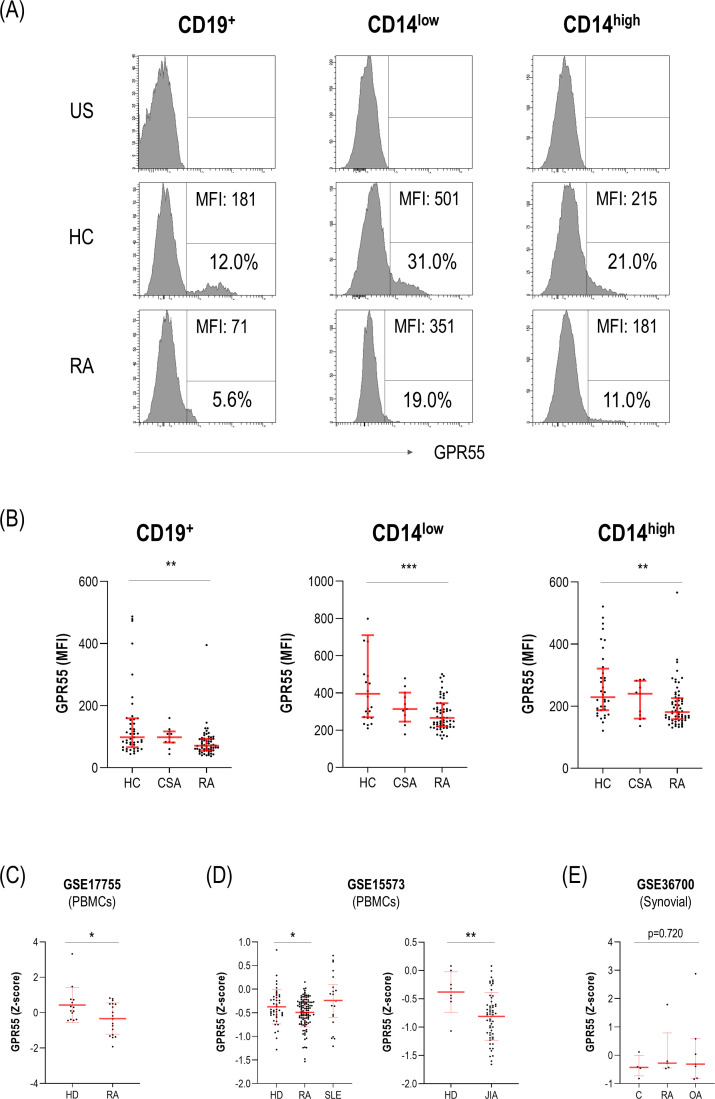 Expression of GPR55 in human leucocytes. (A) GPR55 expression was assessed by flow cytometry in CD19+, CD14low and CD14high cell subsets. Representative dot plots from a HC and a patient with RA are shown. Unstained controls were included for comparison. MFI (top) and frequency (%) of GPR55+ cells (bottom) within each subset is indicated. (B) GPR55 expression (MFI) was compared among HC, CSA and RA groups. GPR55 expression in gene expression datasets from PBMC (C–D) and synovial tissue (E) was analysed to validate our findings. In scatter plots, each dot represents one individual. Control populations (HD or C) were labelled as per the original files and may be interpreted as HC in our study groups. Bars represent the 25thth percentile, median and 75thth percentile. Differences were assessed by Kruskal-Wallis or Mann-Whitney with Dunn-Bonferroni tests for multiple comparisons. P values correspond to those obtained in the multiple comparisons tests and are indicated as follows: *p<0.050, **p<0.010 and ***p<0.001. C: controls, CSA, clinically suspect arthralgia; HC, healthy control; HD, healthy donor; JIA, juvenile idiopathic arthritis; MFI, mean fluorescence intensity; OA, osteoarthritis; PBMCs, peripheral blood mononuclear cells; US, unstained control; RA, rheumatoid arthritis; SLE, systemic lupus erythematosus.